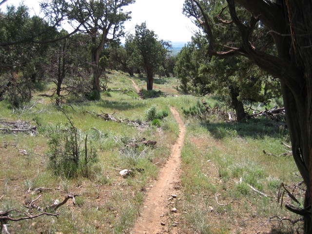 [IMG_02565.jpg]