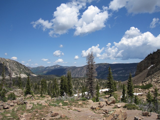 [IMG_02105.jpg]