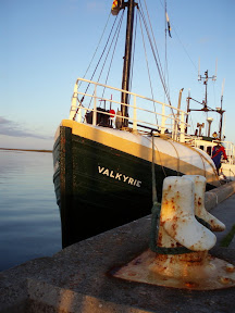 In Stronsay on a beautiful calm evening