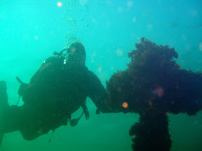 Diving the Barriers