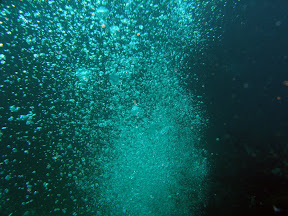 Bubbles (did I really need to say what this was? probably not).  But they are Shetland bubbles, if that makes any difference.