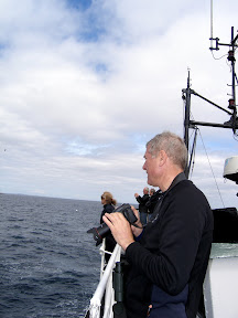 Whales!.......no, actually it was Scotland.... :o)