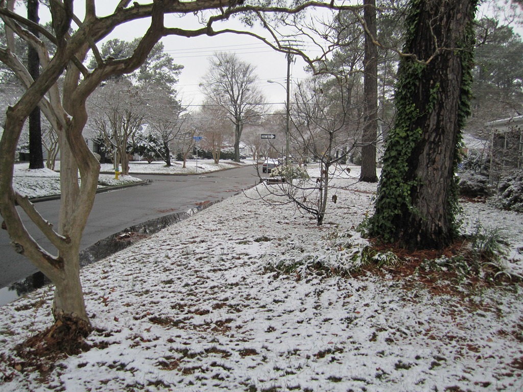 [IMG_0033[5].jpg]