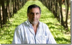 pepe zuccardi