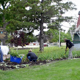 Area residents dig tulips out of a bed at Brinkhoff Park