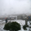 img_1269425117_450.jpg