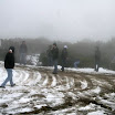 img_1269425073_486.jpg