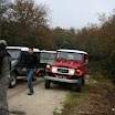 img_1269424937_977.jpg