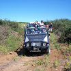 img_1225661311_351.jpg