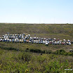 img_1225661205_994.jpg