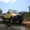 img_1225666660_695.jpg