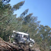 img_1243088778_243.jpg