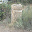 img_1243183438_180.jpg