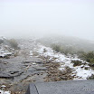 img_1243016931_648.jpg