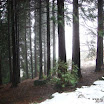 img_1243016925_649.jpg