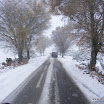 img_1243016838_618.jpg