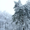 img_1243016804_10.jpg