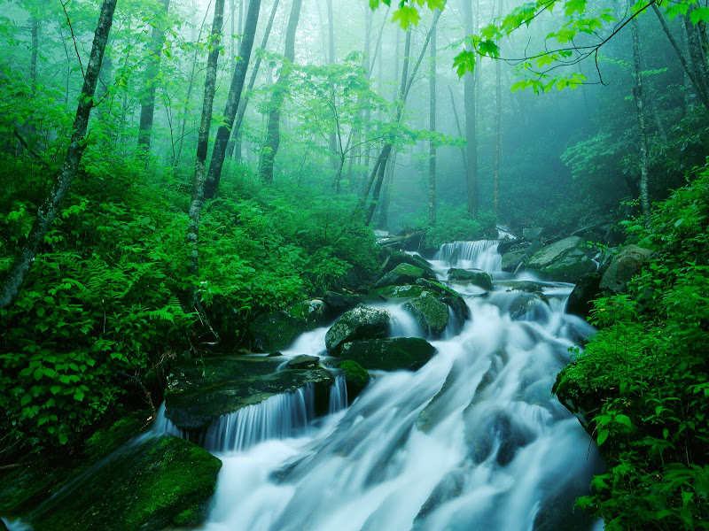 Nature wallpapers pack