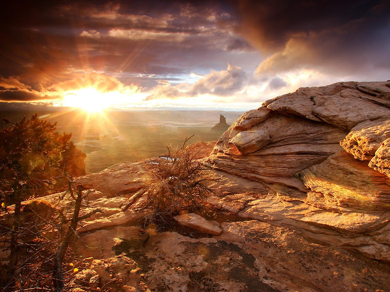 Nature wallpapers pack