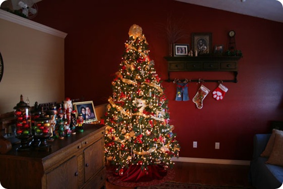 IMG_2330w IMG_2330w