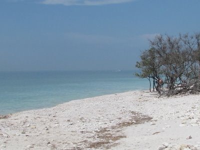 [honeymoon island[3].jpg]