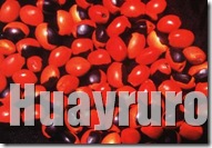 Huayruro