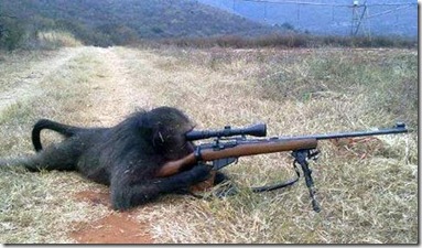 Beware-Of-Sniper-Animals2