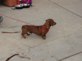 IMG_1553.JPG