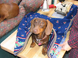 franzi2-12-14-05.jpg