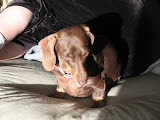 IMG_6235.JPG
