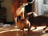 IMG_6207.JPG