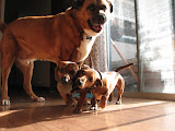 IMG_6215.JPG