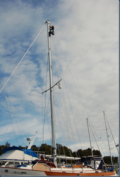 DSC_1187 DSC_1187