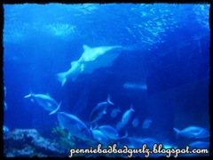 DSC00867