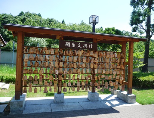 2. ushiku daibutsu entrada