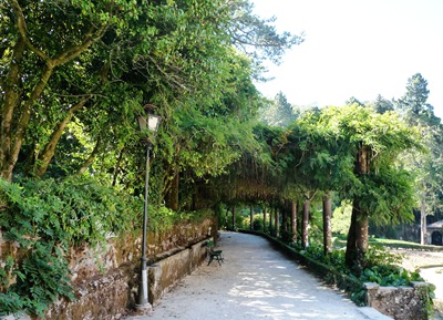[25-  Palácio de Buçaco-jardim[7].jpg]