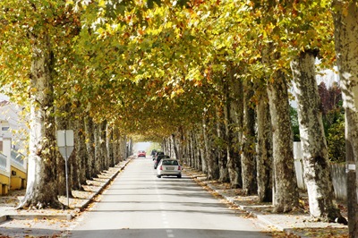 [anadia - entrada[5].jpg]