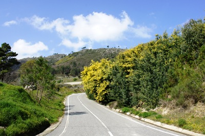 [minosa - estrada[4].jpg]