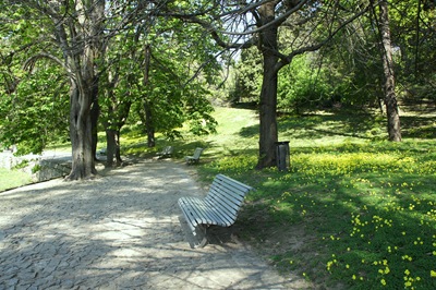 [jardim serralves - porto - banco na sombra[5].jpg]