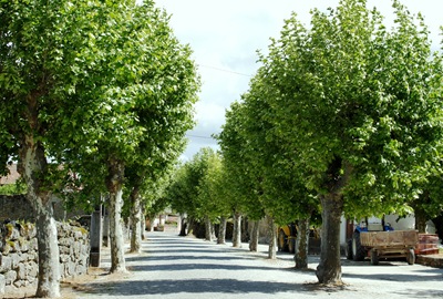 [Glória Ishizaka - Vila do Touro -  avenida Pro. J. Brojo da Silva[5].jpg]
