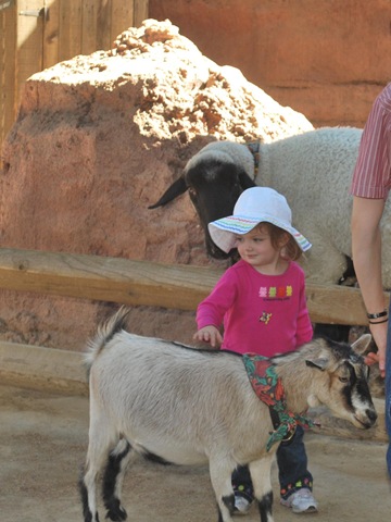 [11-01 Keelie Goat[4].jpg]