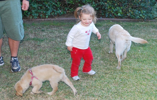 [1225KeelieandDogs24.jpg]