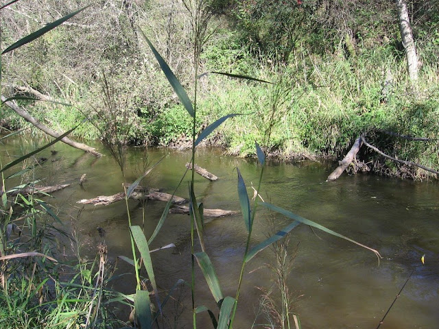 Paveikslėlis