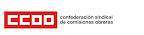 www.ccoo.es