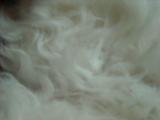 DSCN0512