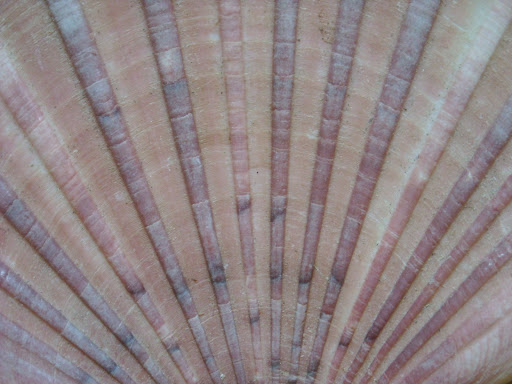 DSCN0512