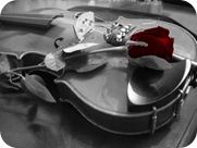 violin_500