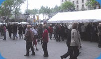 sant jordi 1