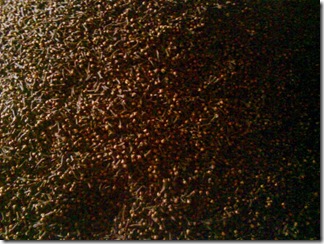 The Cloves 3