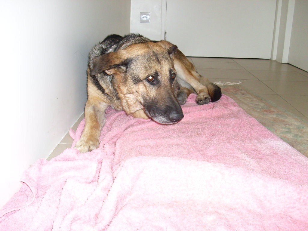 [Pastora 26 Agosto[4].jpg]